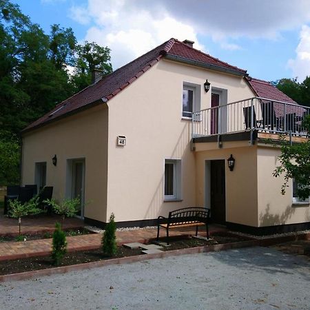 Haus Waldidyll Apartment Lauta Екстериор снимка