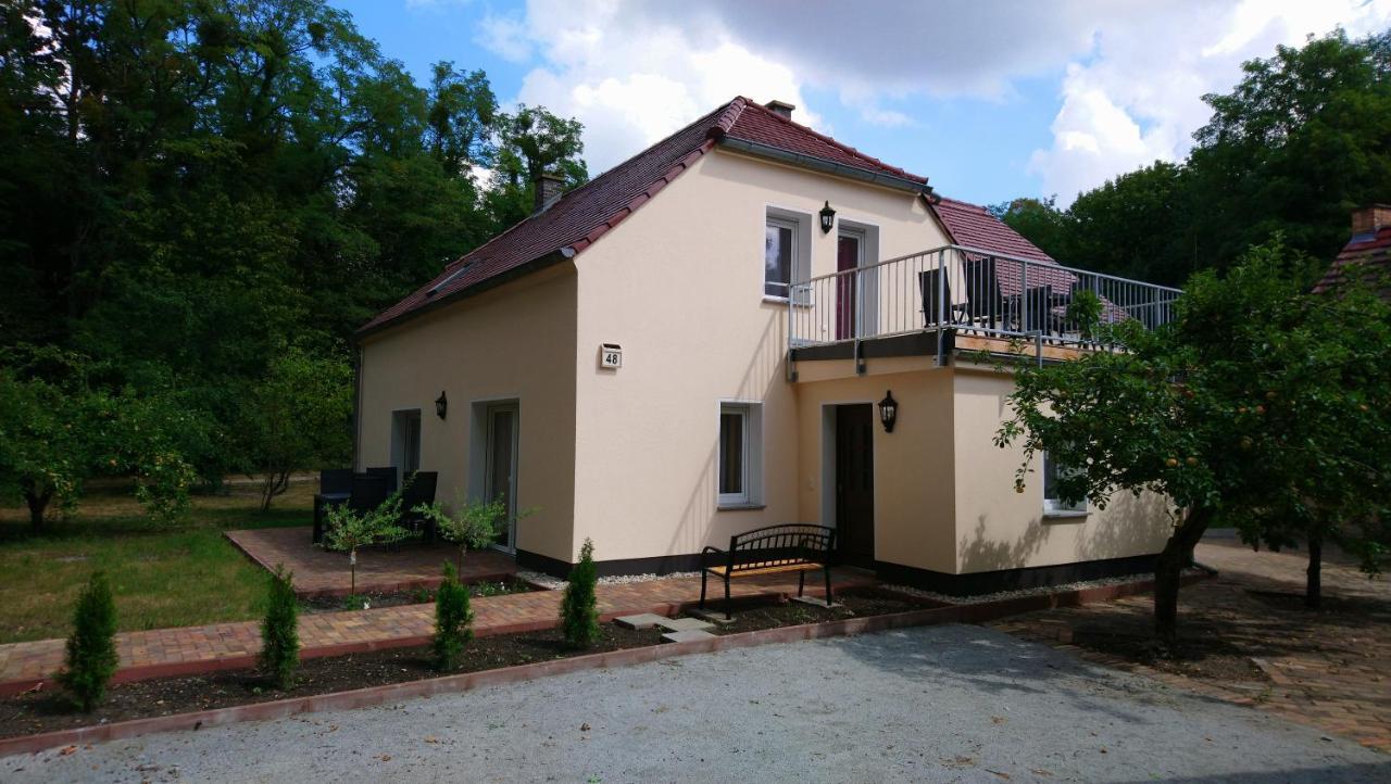 Haus Waldidyll Apartment Lauta Екстериор снимка